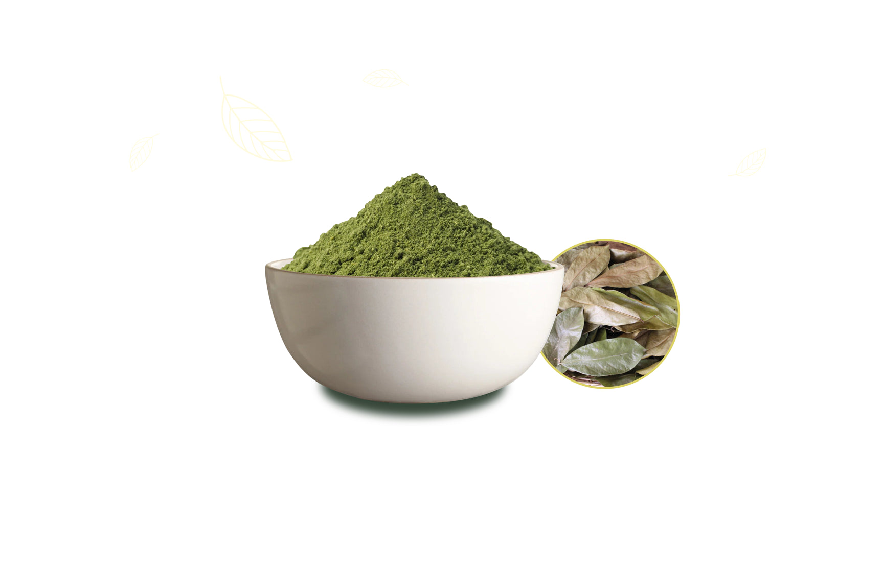 Pure soursop (graviola) leaf powder in resealable pouch from Soursoply UK