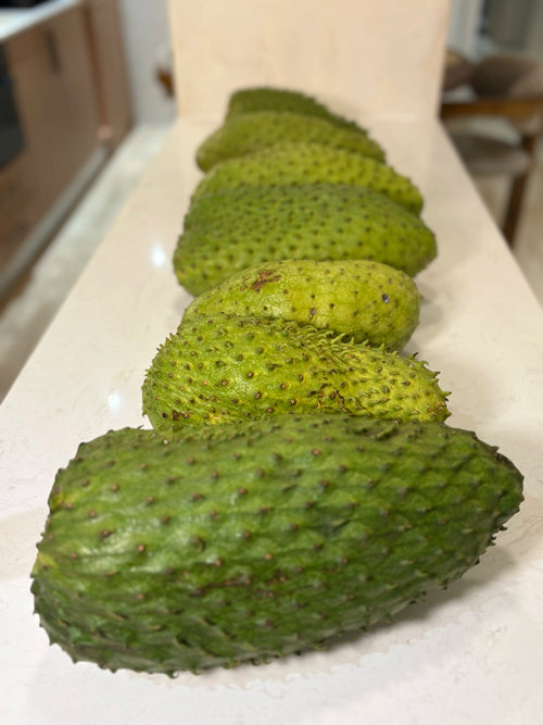 Fresh soursop fruit (graviola or guanabana) with green spiky skin, from Soursoply UK